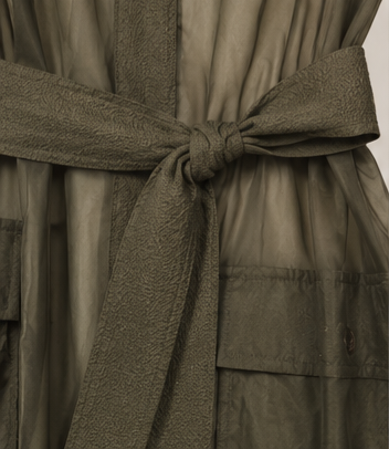 Sheer Necessity Belted Dress