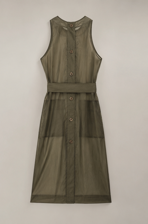 Sheer Necessity Belted Dress